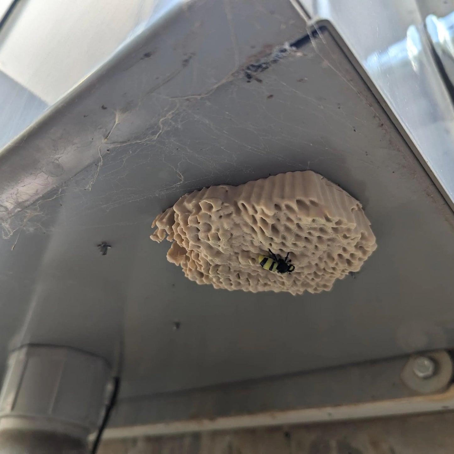 🐝Wasp Nest Eealistic 3D Printed Geocache with Log and Magnet - Ready to be Hidden!