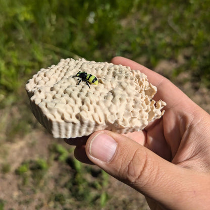 🐝Wasp Nest Eealistic 3D Printed Geocache with Log and Magnet - Ready to be Hidden!