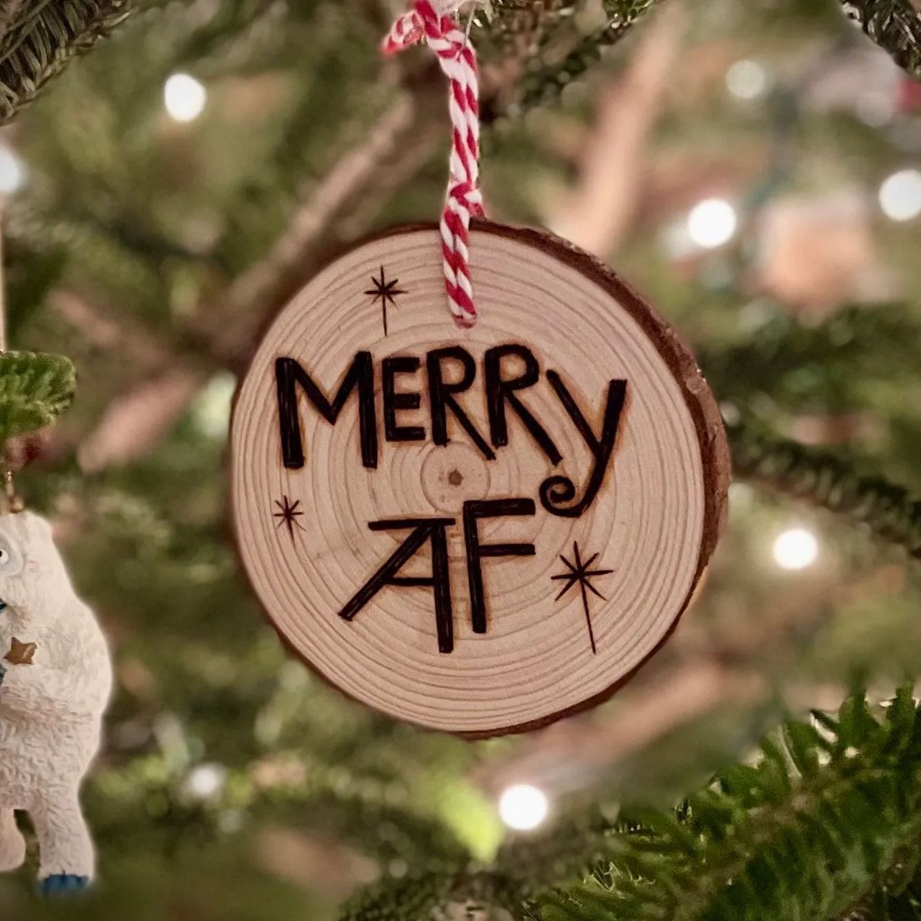 🎄Offensive Christmas Ornament