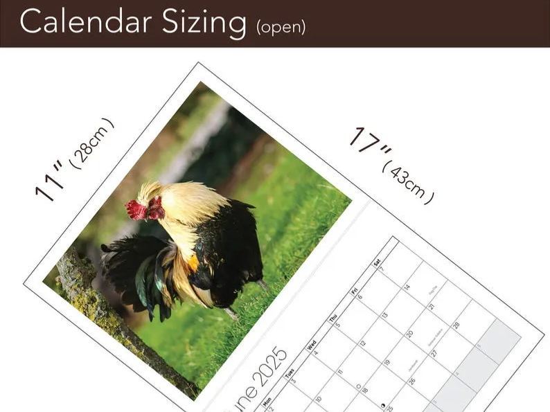 🤣Funny 2025 Big Cocks🐔 Calendar