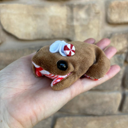 💖Holiday Pocket Frog