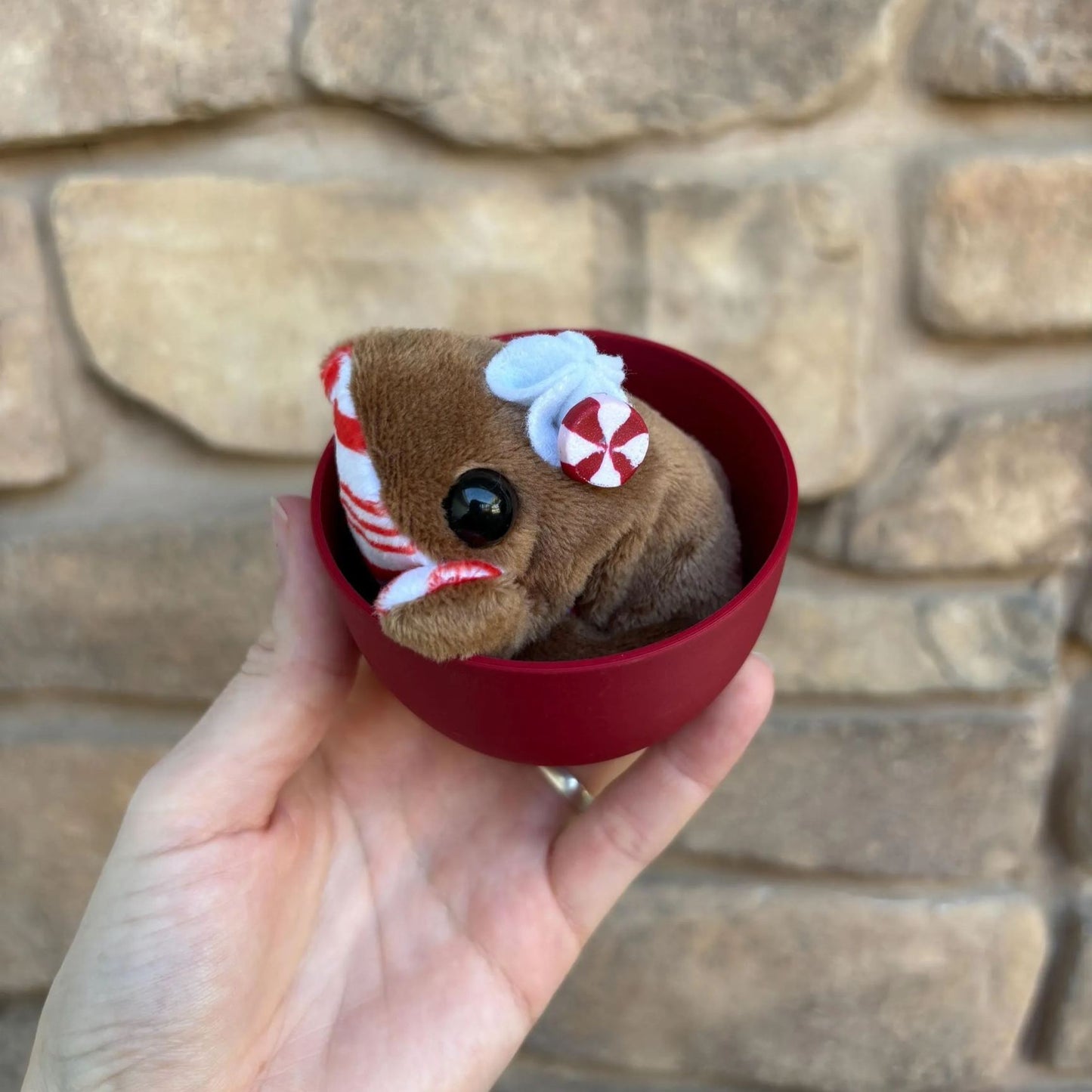 💖Holiday Pocket Frog