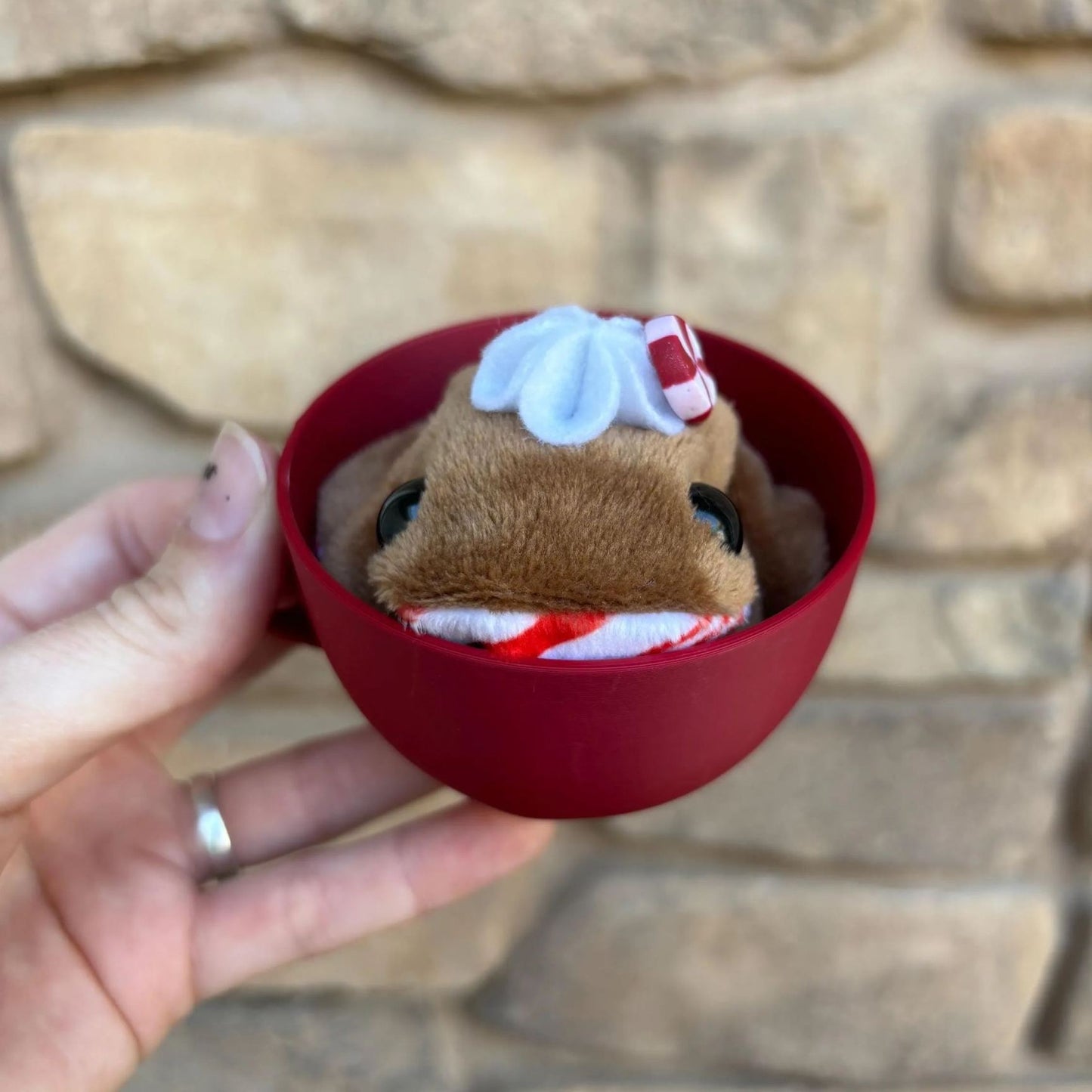 💖Holiday Pocket Frog