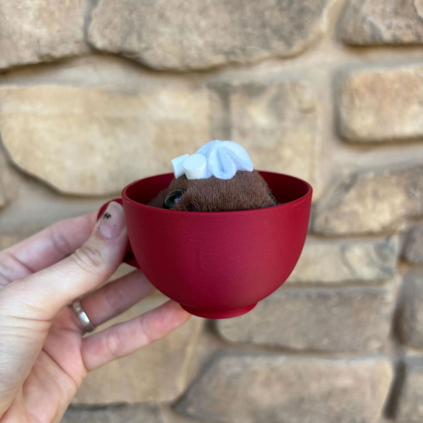 💖Holiday Pocket Frog