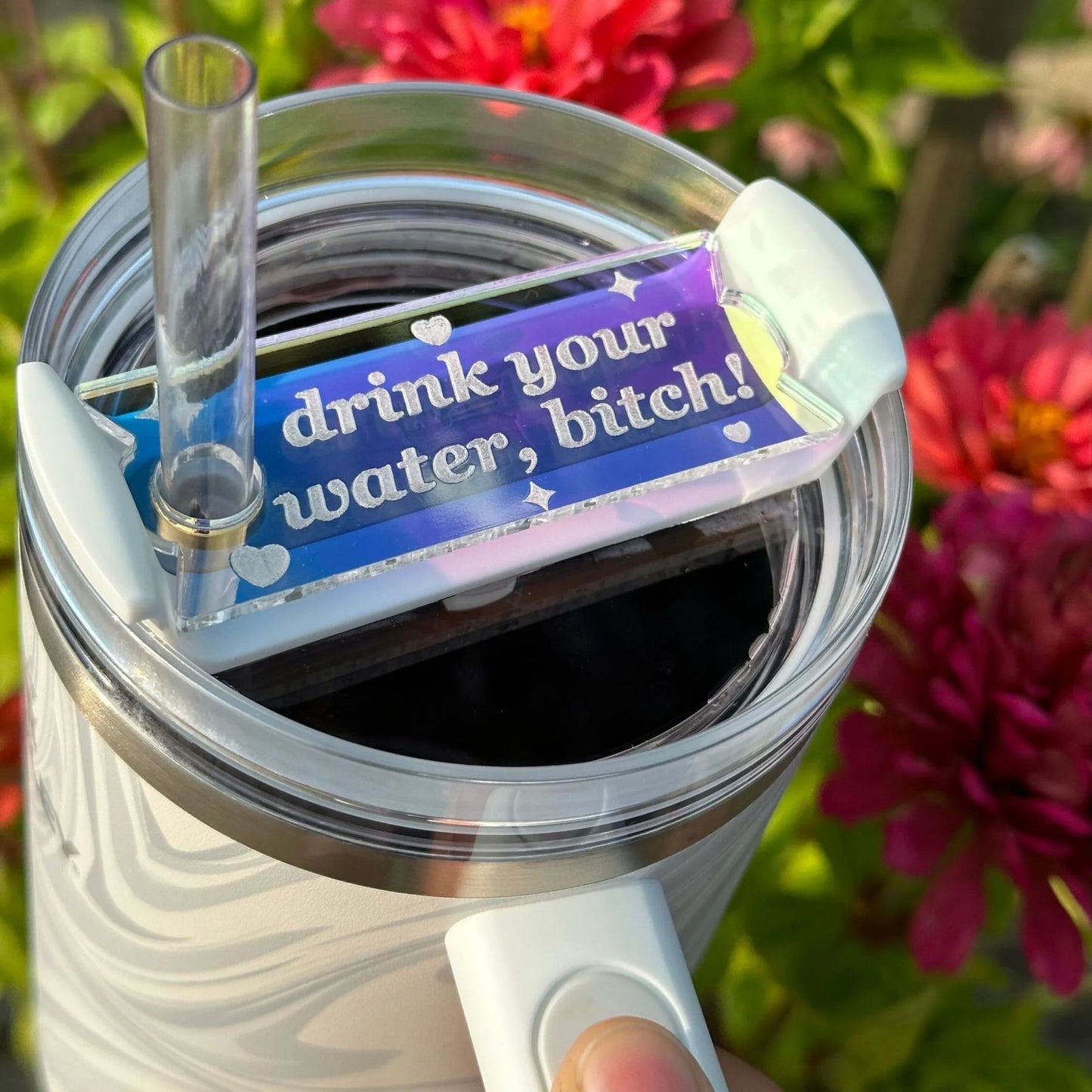 🌟Funny Acrylic Cup Plate Accessory