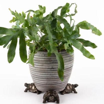 🌼Pack of 3 Animal Pot Feet