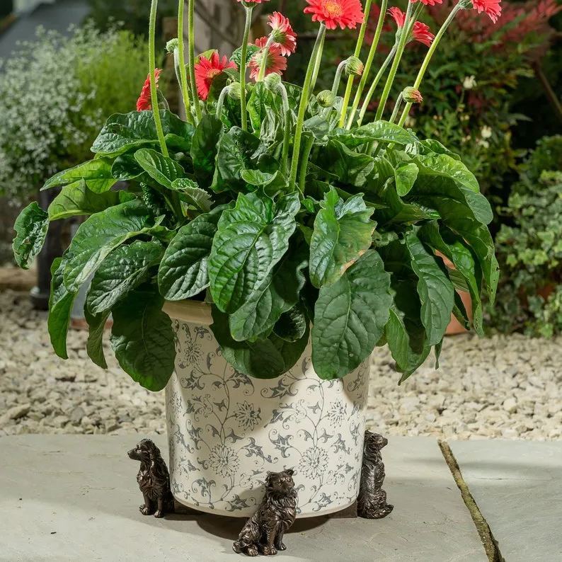 🌼Pack of 3 Animal Pot Feet