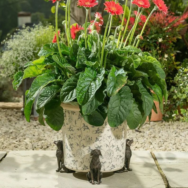 🌼Pack of 3 Animal Pot Feet