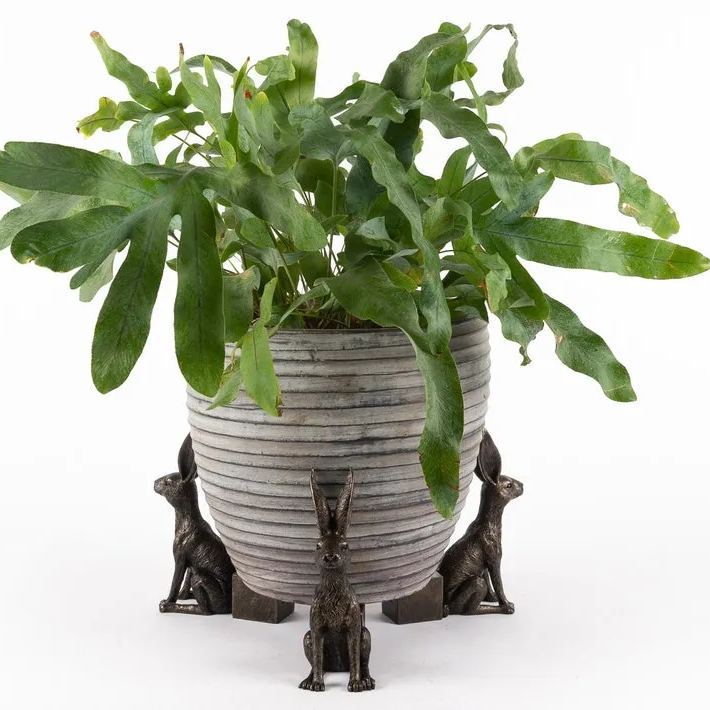 🌼Pack of 3 Animal Pot Feet