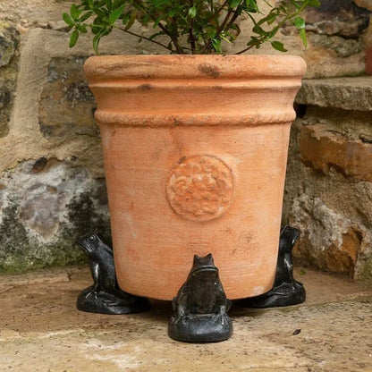 🌼Pack of 3 Animal Pot Feet