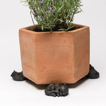 🌼Pack of 3 Animal Pot Feet