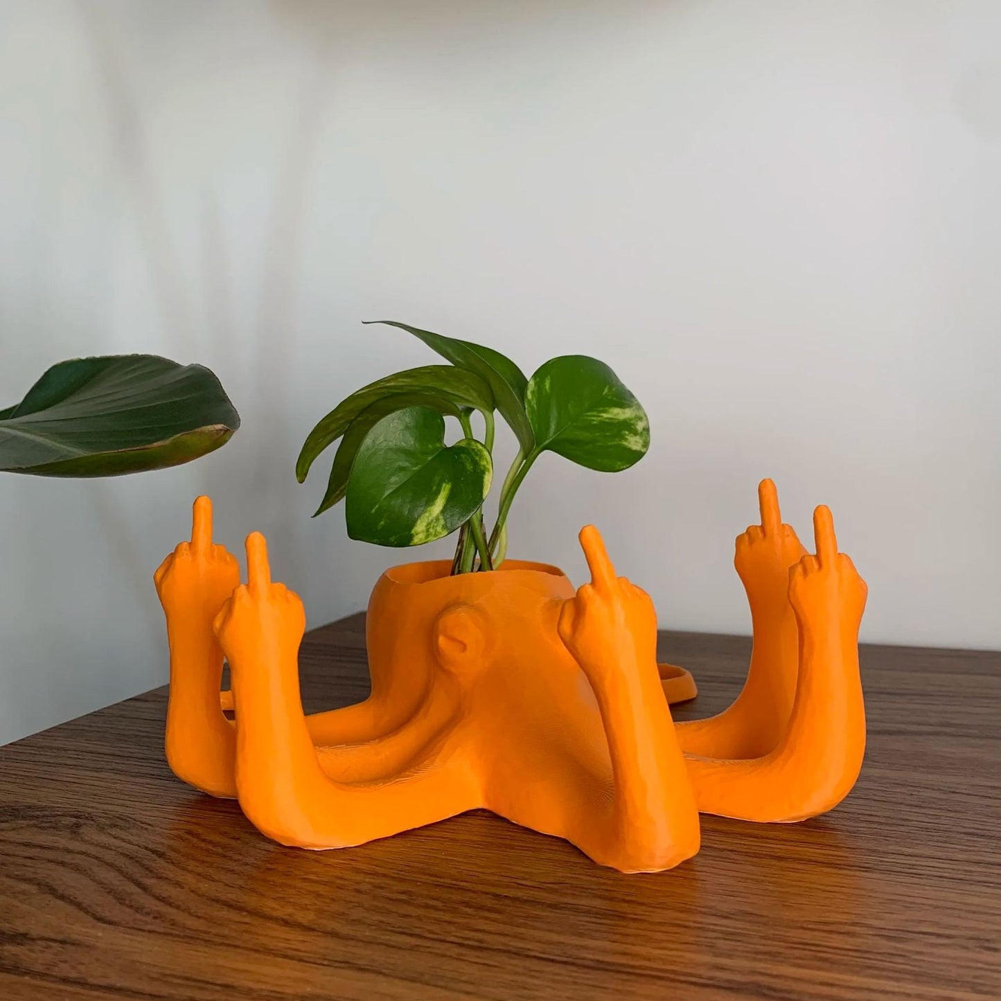 Middle Finger Octopus Planter Funny Fucktopus Air Plant Pot