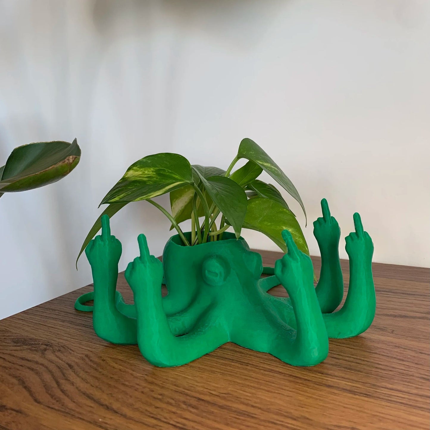 Middle Finger Octopus Planter Funny Fucktopus Air Plant Pot