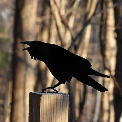 🐦Metal Bird Garden Decoration