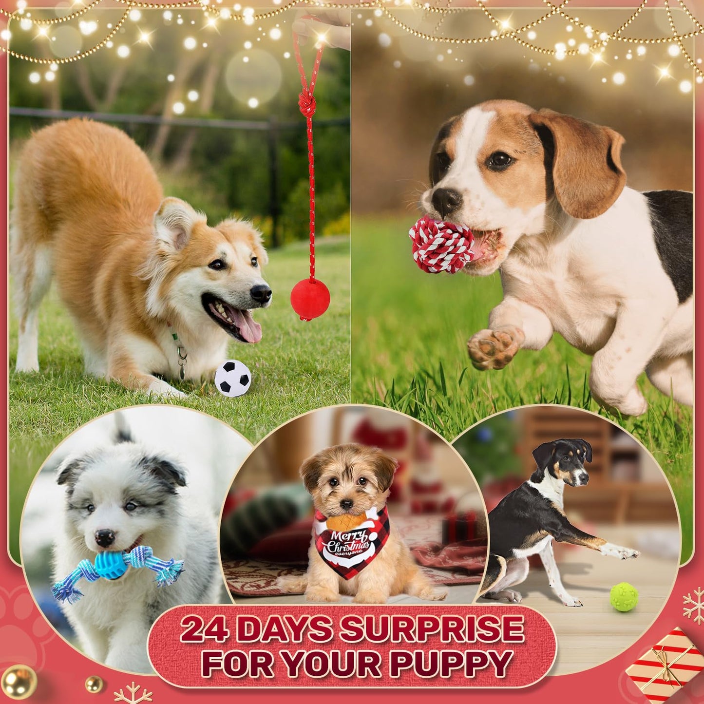 🐶2024 Christmas Countdown Dog Toys Advent Calendar